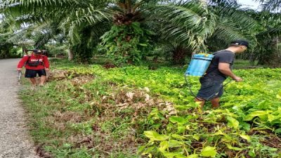 Desa Kota Bumi Baru Gotong Royong Bersihkan Makam