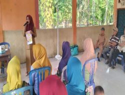 Desa Tanjung Aur Gelar Penyuluhan DBD, Tingkatkan Kesadaran Masyarakat Cegah Penyebaran Demam Berdarah