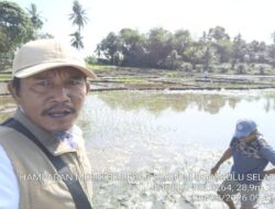 Melakukan Pendamping Langsung Pengolahan Lahan Pertanian, Muza Farudin,S.P Berikan Arahan